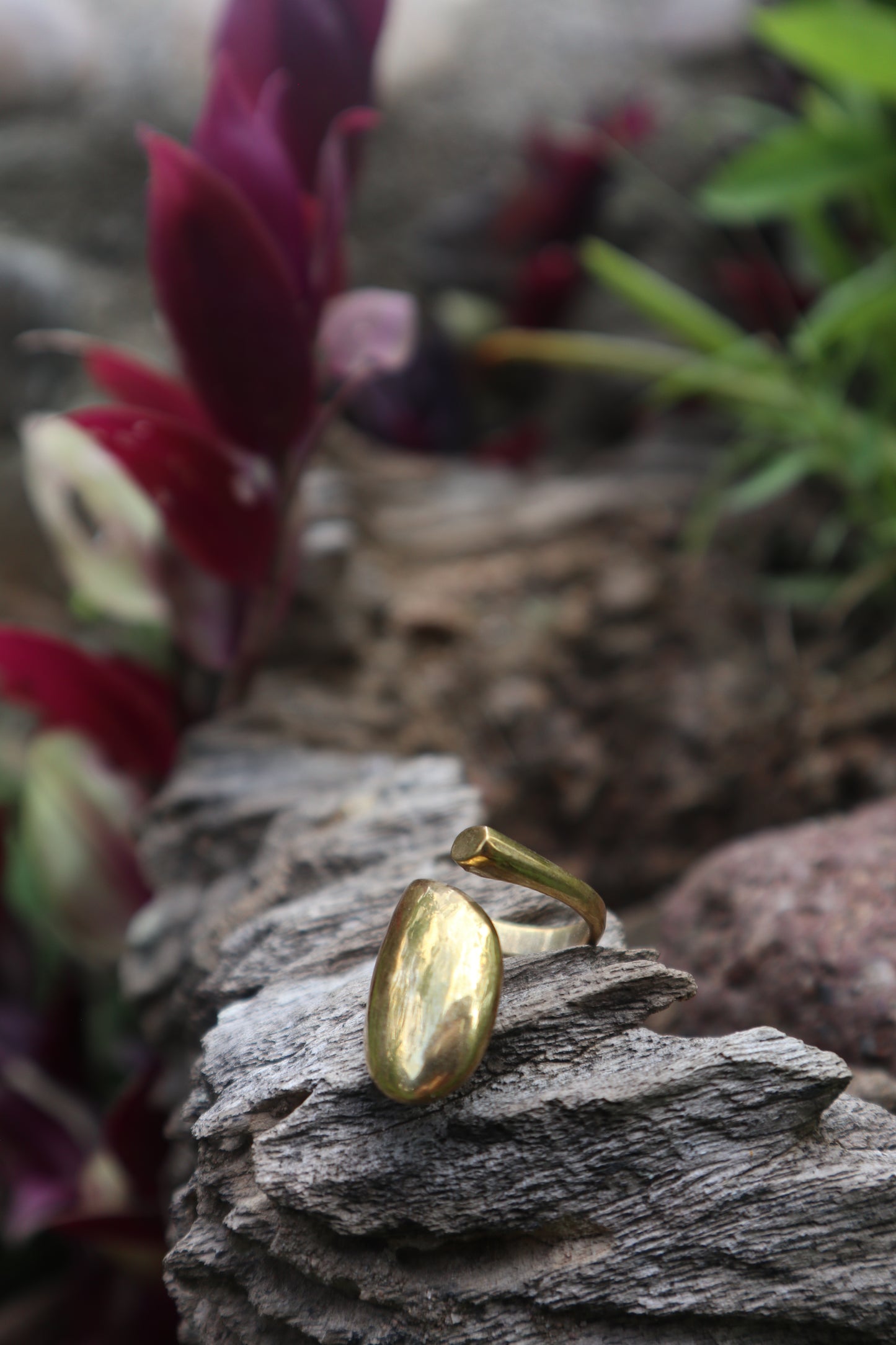 Energy Shield Brass Adjustable Ring